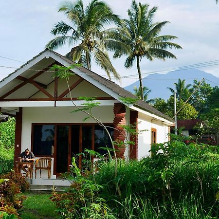 Rice Field Inn - Lombok Tetebatu Exterior foto