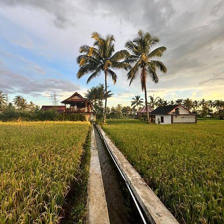 Rice Field Inn - Lombok Tetebatu Exterior foto