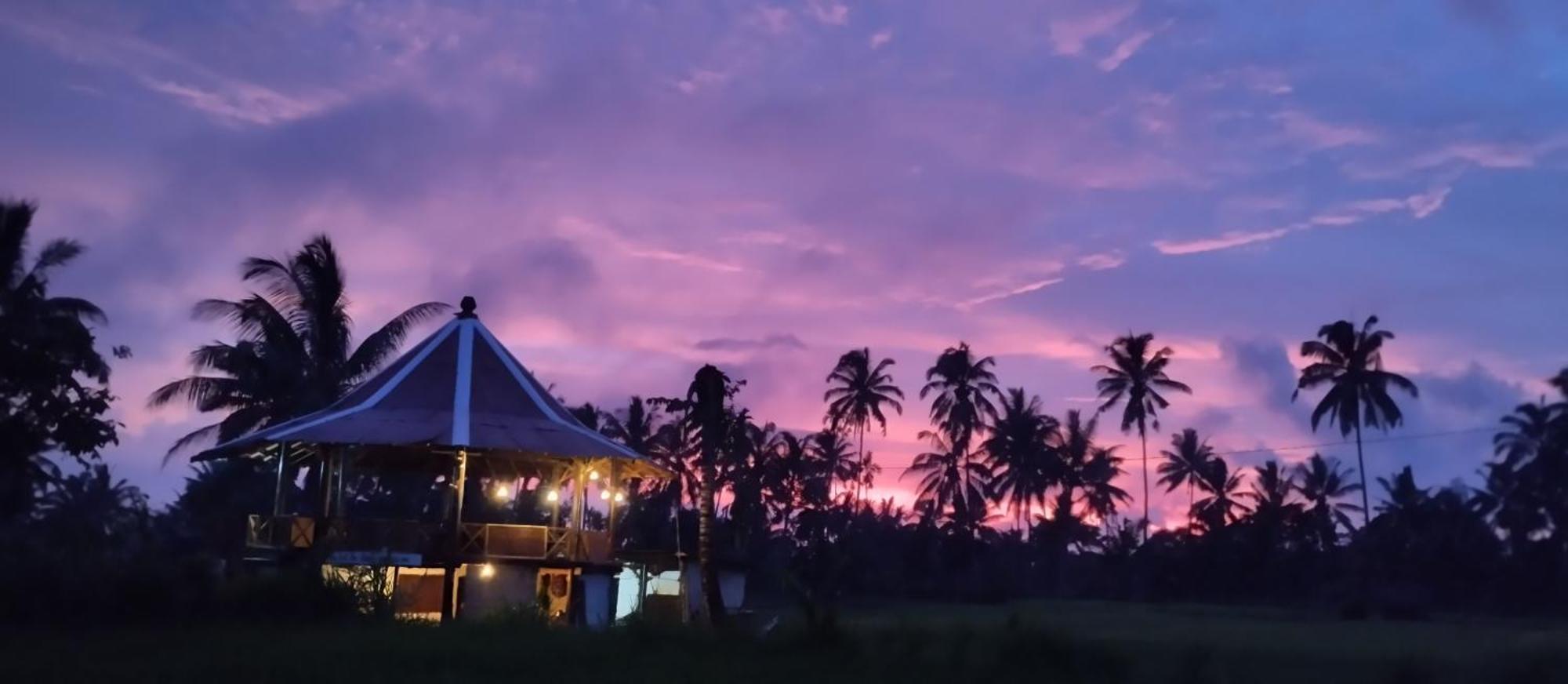 Rice Field Inn - Lombok Tetebatu Exterior foto