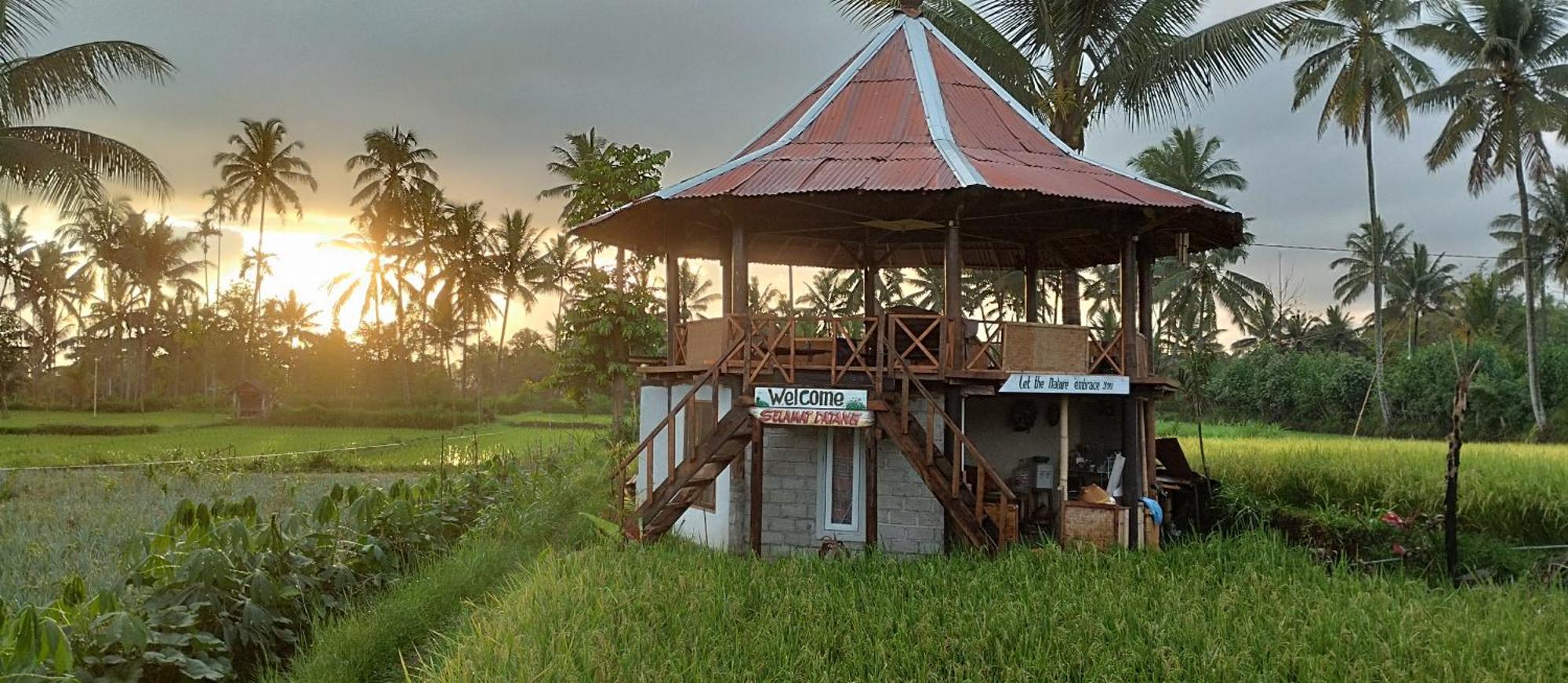 Rice Field Inn - Lombok Tetebatu Exterior foto