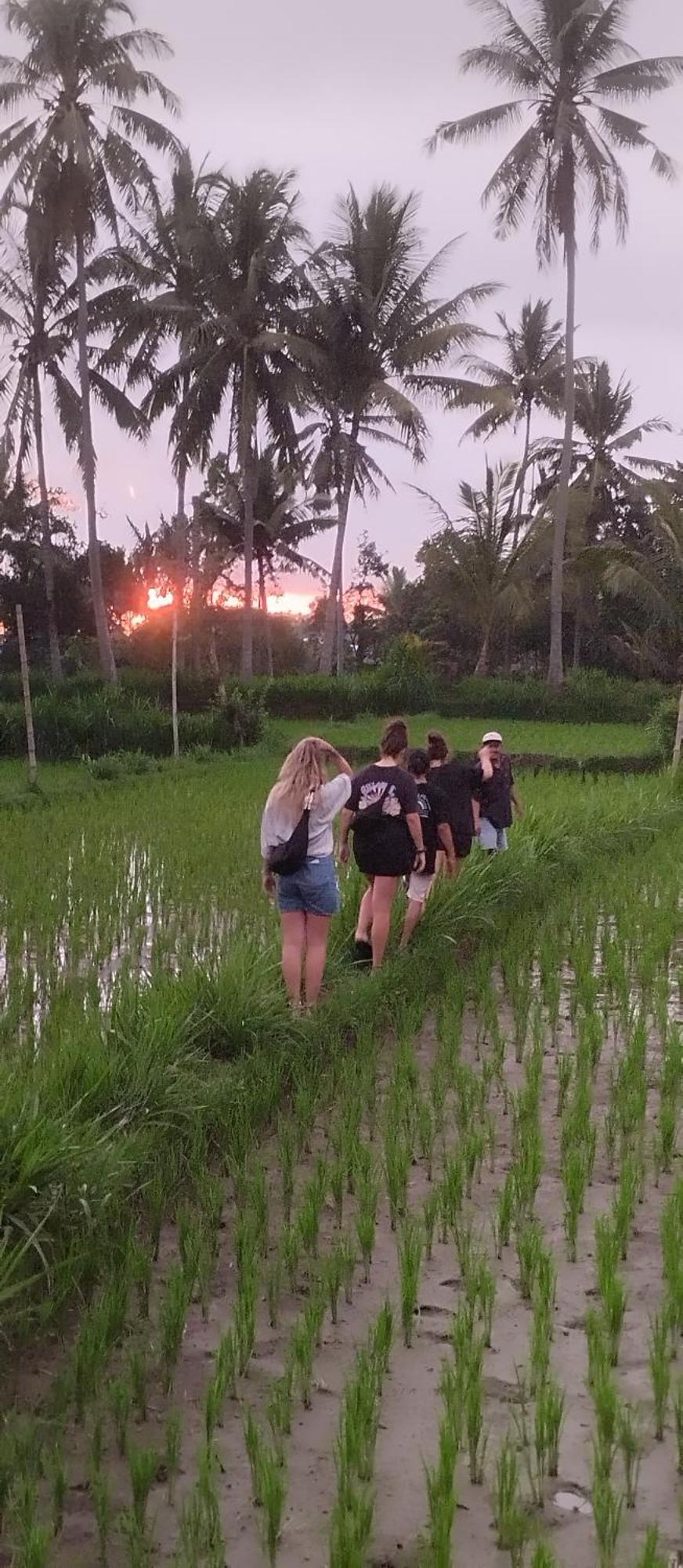 Rice Field Inn - Lombok Tetebatu Exterior foto