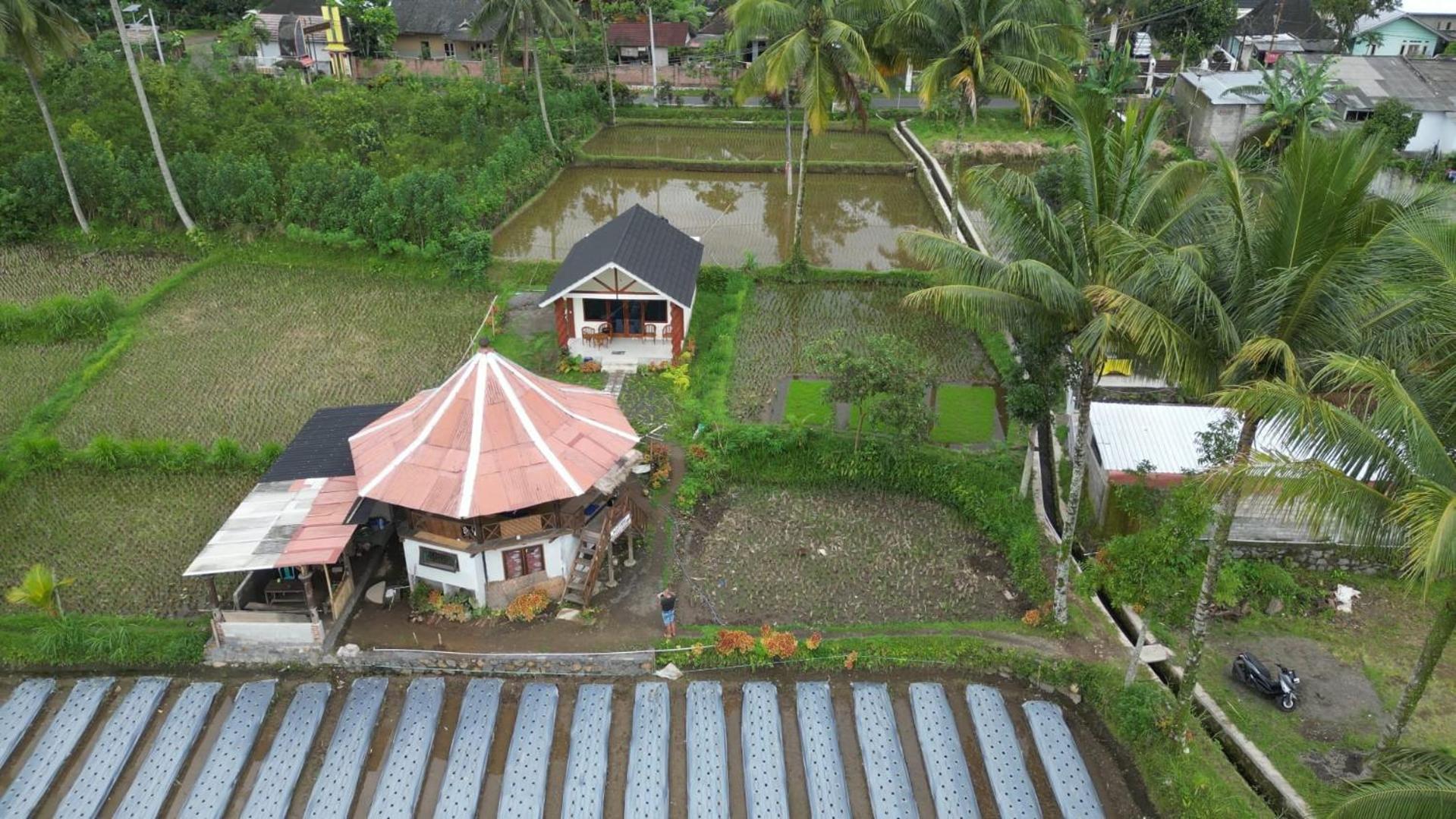 Rice Field Inn - Lombok Tetebatu Exterior foto