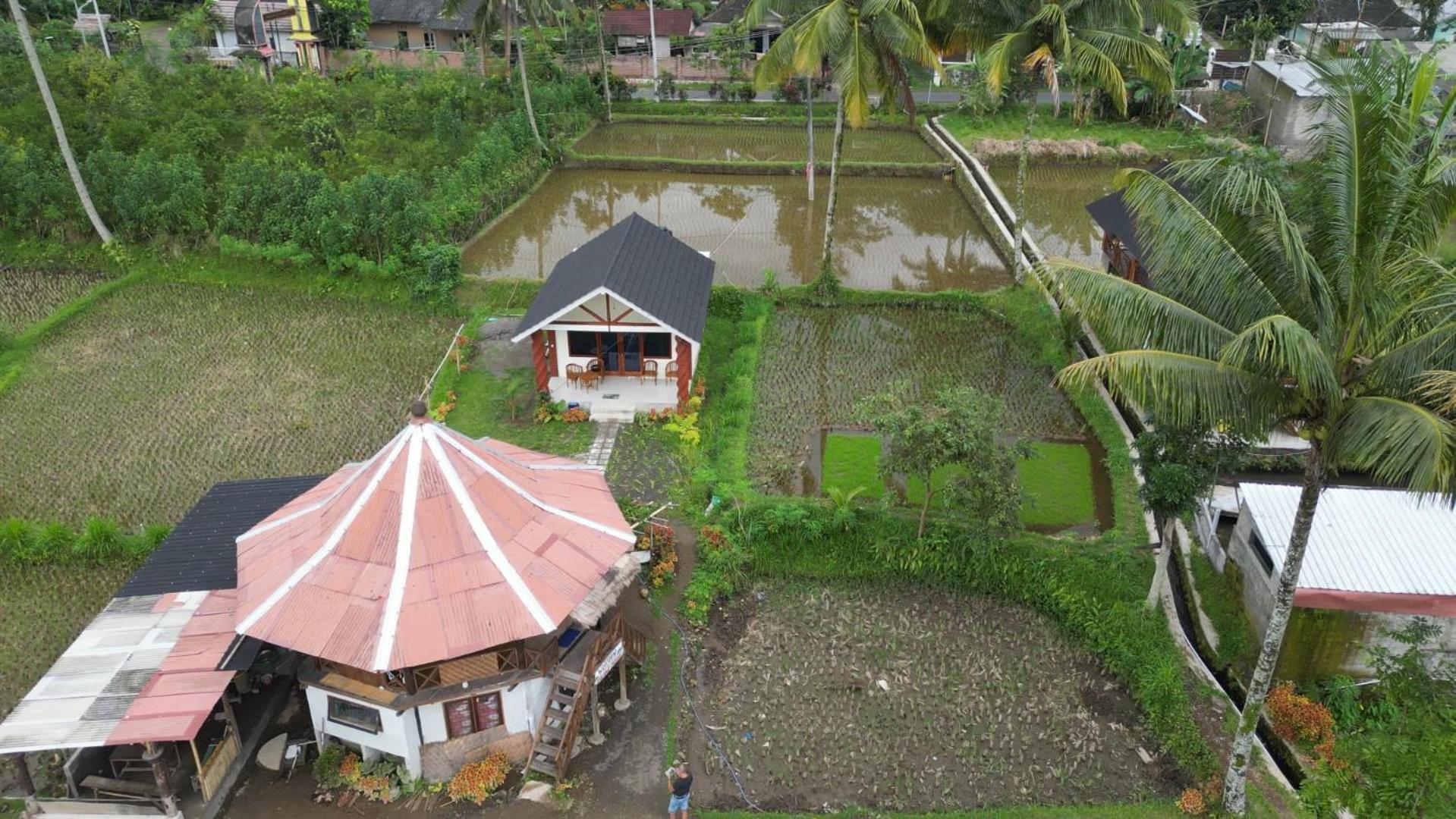 Rice Field Inn - Lombok Tetebatu Exterior foto