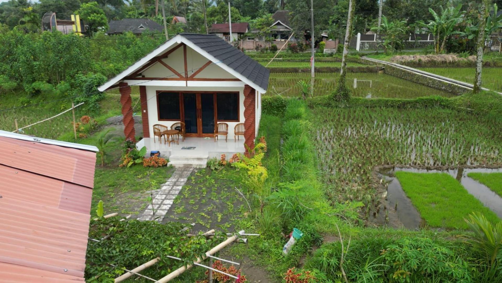 Rice Field Inn - Lombok Tetebatu Exterior foto