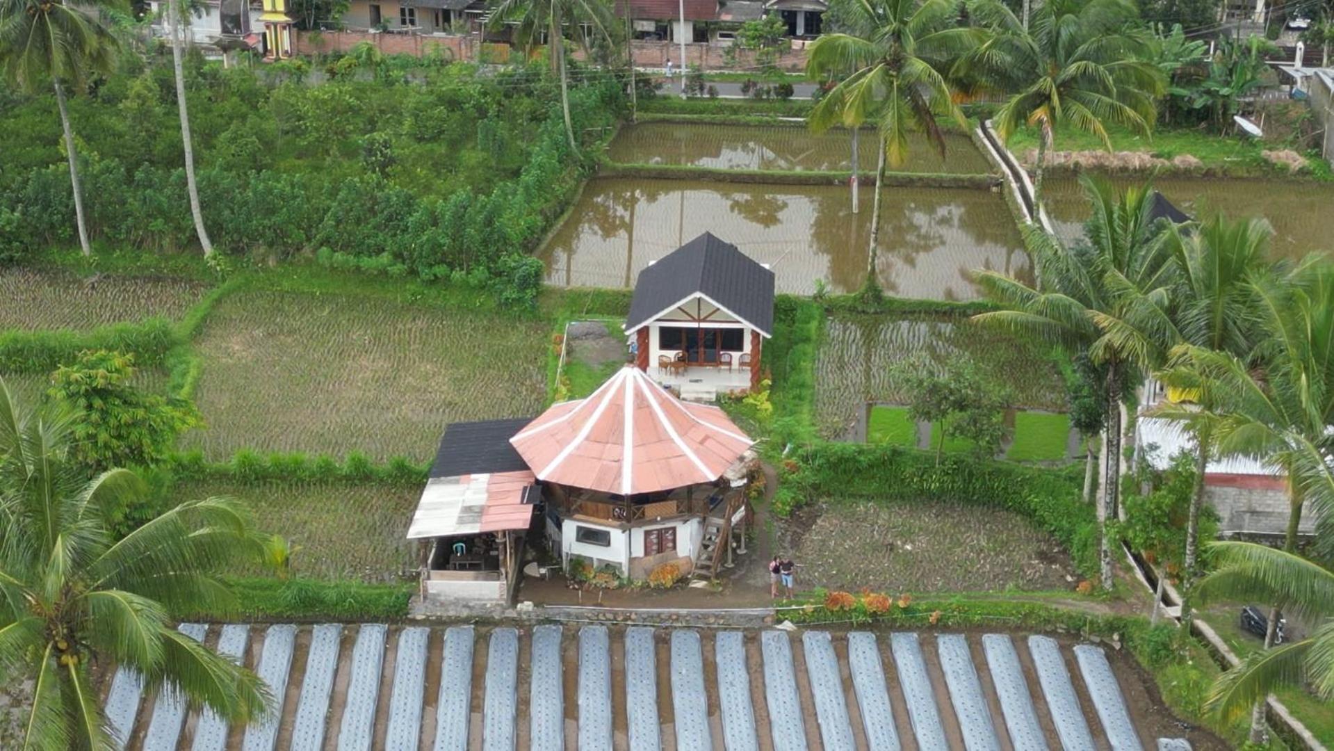 Rice Field Inn - Lombok Tetebatu Exterior foto