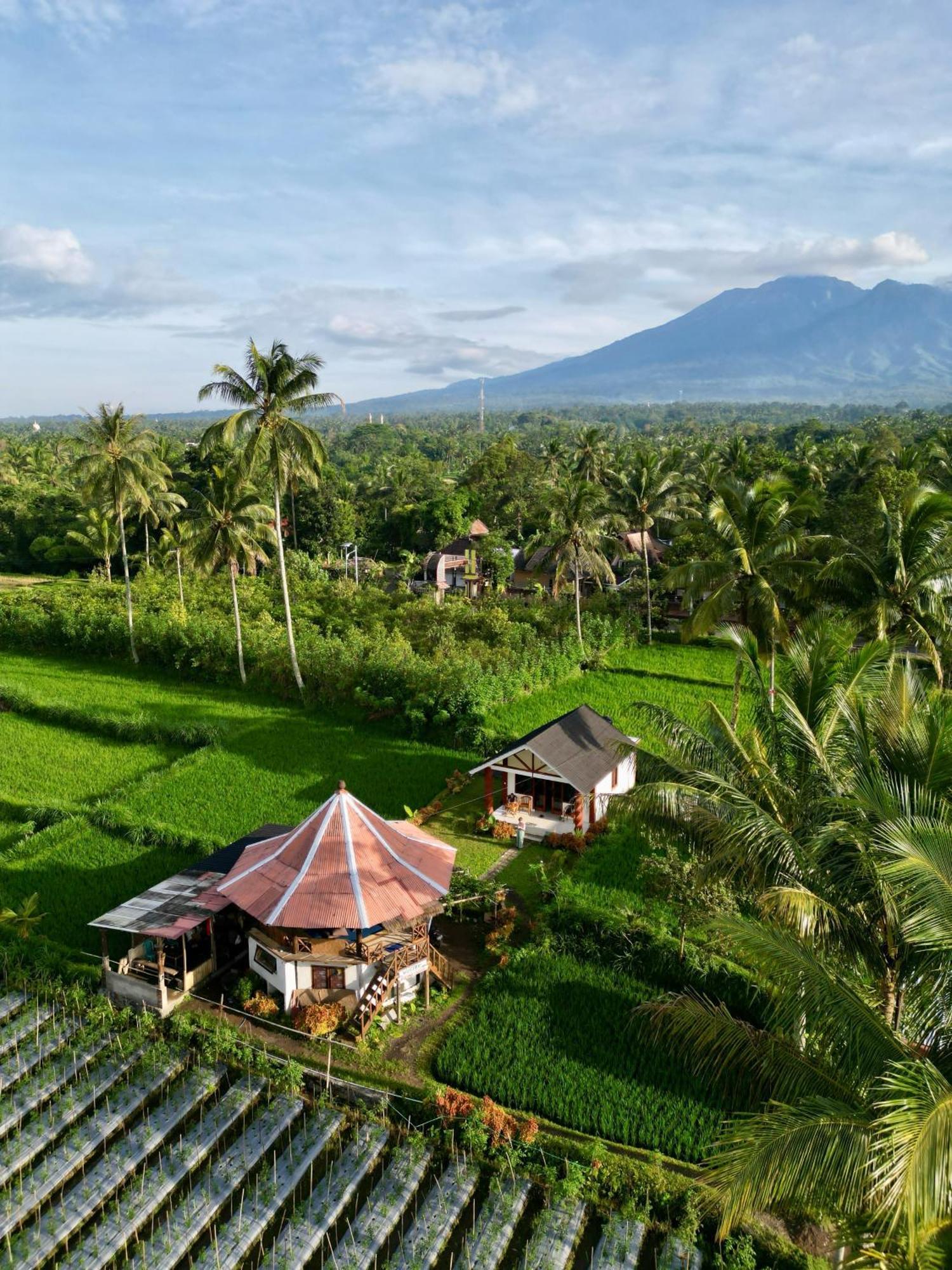 Rice Field Inn - Lombok Tetebatu Exterior foto