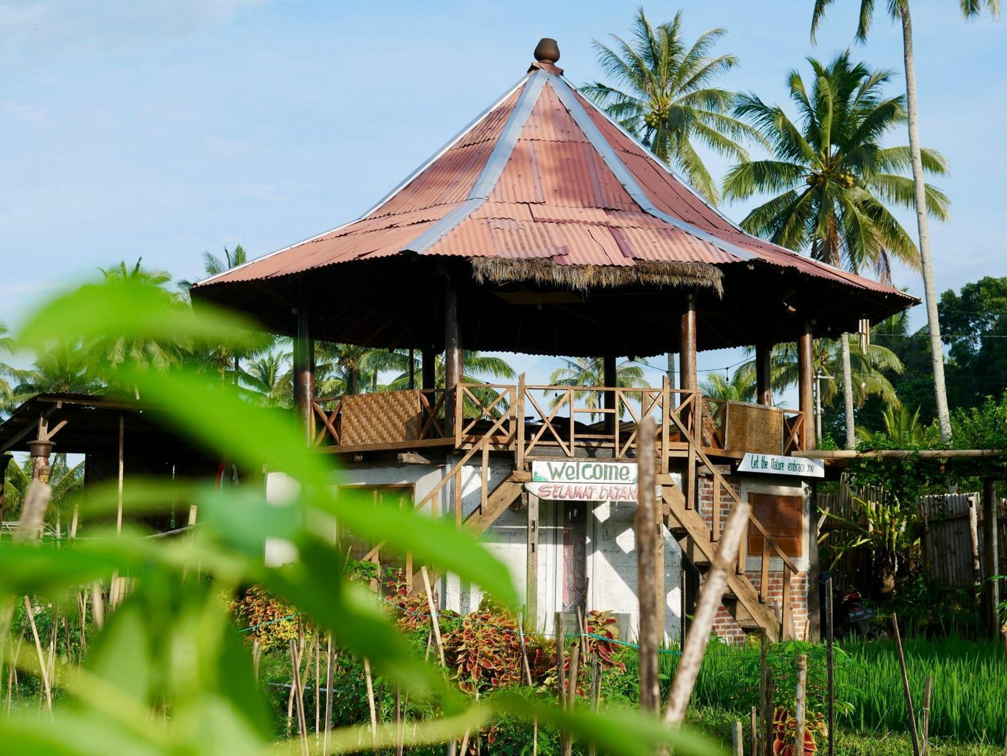 Rice Field Inn - Lombok Tetebatu Exterior foto